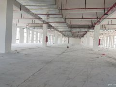 【園區(qū)直招】蘇通園區(qū)全新廠房，面積1150平，單層獨棟均有